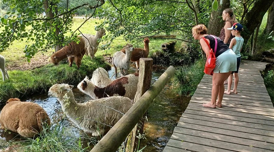 La Ferme de la Planche